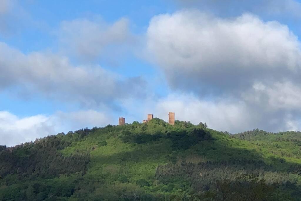 Gite A Eguisheim Proche De Colmar Et Kaysergberg. Exterior foto