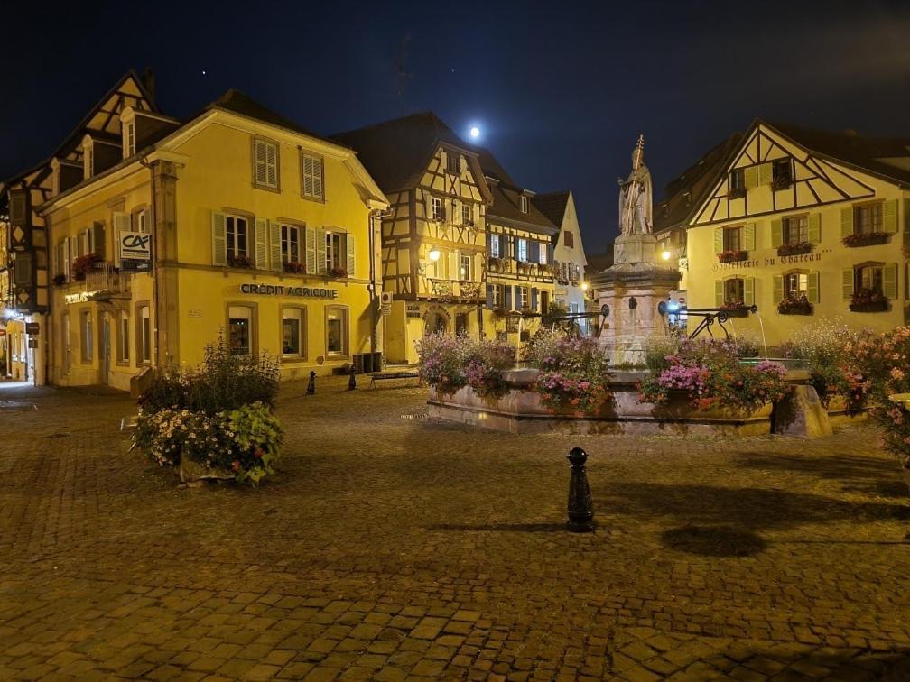 Gite A Eguisheim Proche De Colmar Et Kaysergberg. Exterior foto